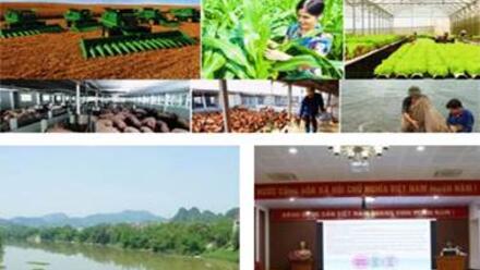 CHỈ ĐẠO ĐIỀU HÀNH NỔI BẬT