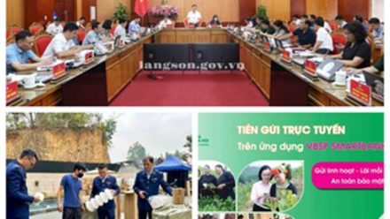CHỈ ĐẠO ĐIỀU HÀNH NỔI BẬT