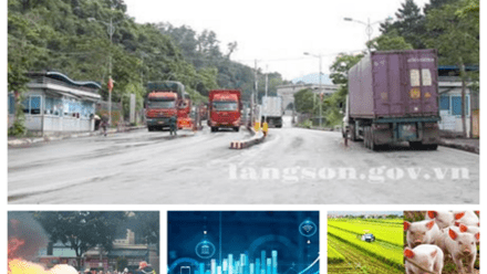 CHỈ ĐẠO ĐIỀU HÀNH NỔI BẬT