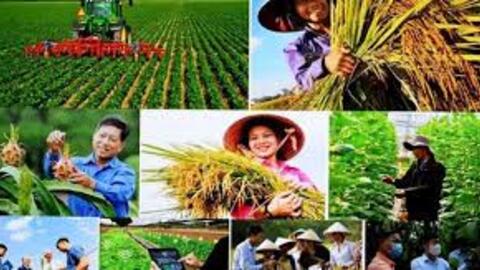 Hội Nông dân Việt Nam từ Đại hội VIII đến nay: Những kết quả nổi bật trong công tác Hội và phong trào nông dân