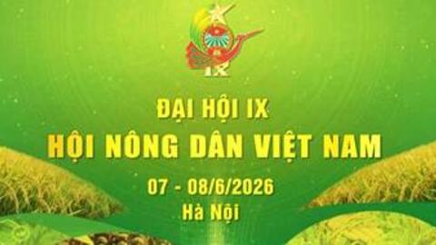 Hướng tới Đại hội Hội Nông dân Việt Nam lần thứ IX nhiệm kỳ 2026 – 2031