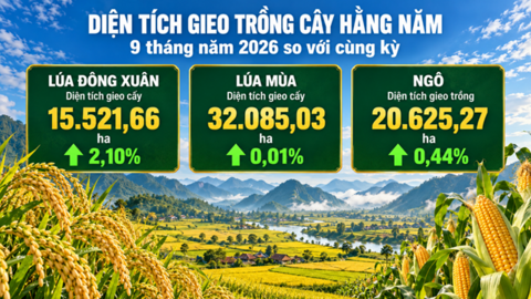 Tỉnh Lạng Sơn: Nông, lâm, thủy sản 9 tháng đầu năm 2026 tăng 5,22%