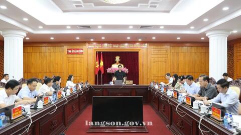 Hội nghị Ban Thường vụ Tỉnh ủy kỳ thứ mười