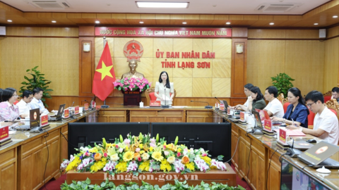 Họp đánh giá tình hình triển khai thực hiện Nghị quyết số 02/2026/NQ-HĐND của HĐND tỉnh về một số chính sách hỗ trợ đầu tư vào nông nghiệp trên địa bàn tỉnh giai đoạn 2026 – 2030