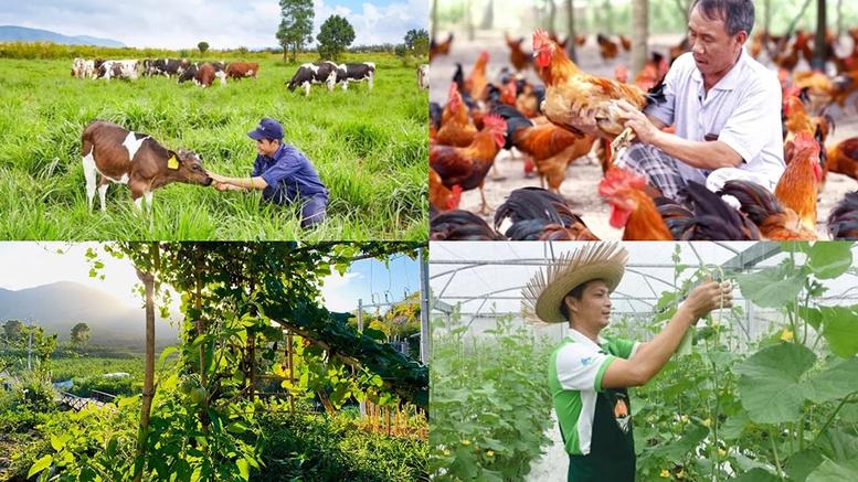 Chính sách mới có hiệu lực từ tháng 8/2026- Ảnh 1.