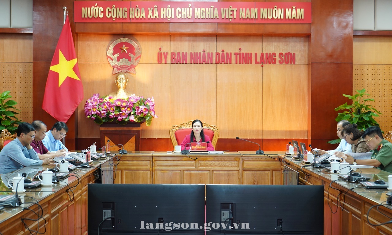 Họp trực tuyến về tiến độ sắp xếp các cơ sở giáo dục mầm non, giáo dục phổ thông; tình hình, tiến độ triển khai xây dựng và vận hành các trường phổ thông nội trú liên cấp tại các xã biên giới