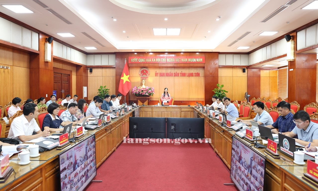 Họp đánh giá tình hình triển khai thực hiện Nghị quyết số 02/2026/NQ-HĐND và tình hình thực hiện, giải ngân vốn Chương trình MTQG phát triển kinh tế - xã hội vùng đồng bào dân tộc thiểu số và miền núi trên địa bàn tỉnh